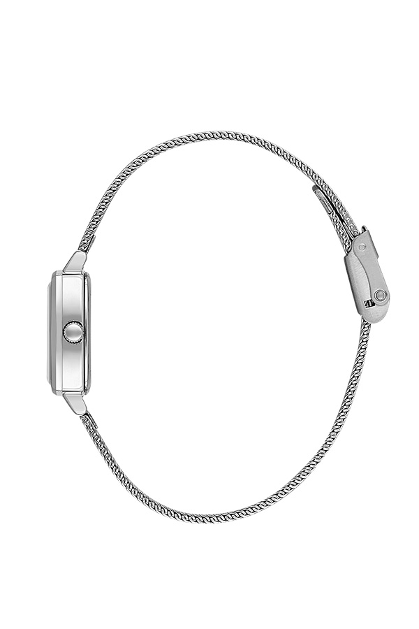 DK.1.13726 Elegant Daniel Klein Women's Watch Mesh Band