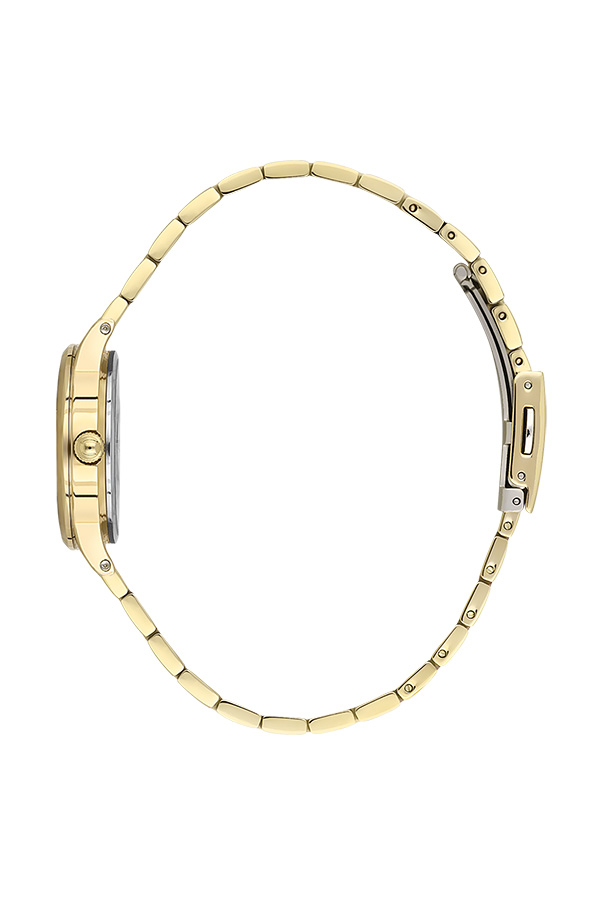 DK.1.13827 Elegant Daniel Klein Women's Watch Stainless Steel Band