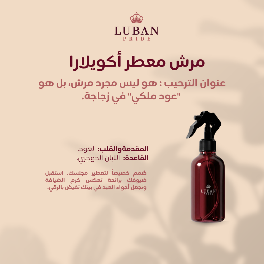 Men's Collection | Eid Edition