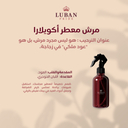 Men's Collection | Eid Edition