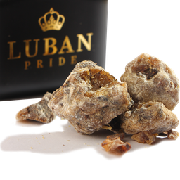 [LOW CARBON LUBAN 100g] Free Carbon Frankincense 100g